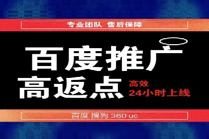 百度推广代运营公司成功案例：精准投放广告的秘诀