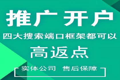 行业领先企业如何运用SEM运营推广